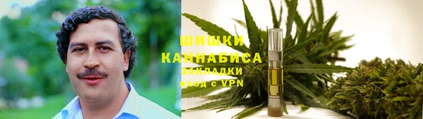 Альфа ПВП Богородск